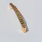 S146_MP11 Metallgriff mit geriffelter Oberfläche, goldfarben, Lochabstand 128 mm